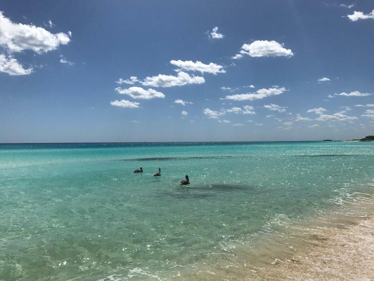 Villa Ikal Playa del Carmen Bagian luar foto